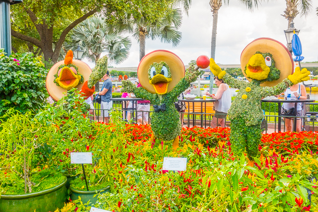 Epcot International Flower and Garden Festival 2017 - beautiful flowers and amazing food! You MUST make a trip to Walt Disney World to check out the festival! SO fun! Epcot International Flower and Garden Festival 2017 - beautiful flowers and amazing food! You MUST make a trip to Walt Disney World to check out the festival! SO fun!