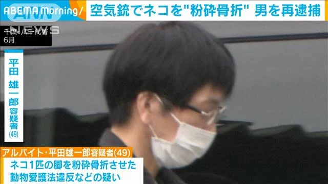 Japanese man, Hirata, admits to killing over a hundred cats with an air rifle