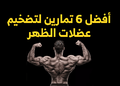 تمارين عضلات الظهر