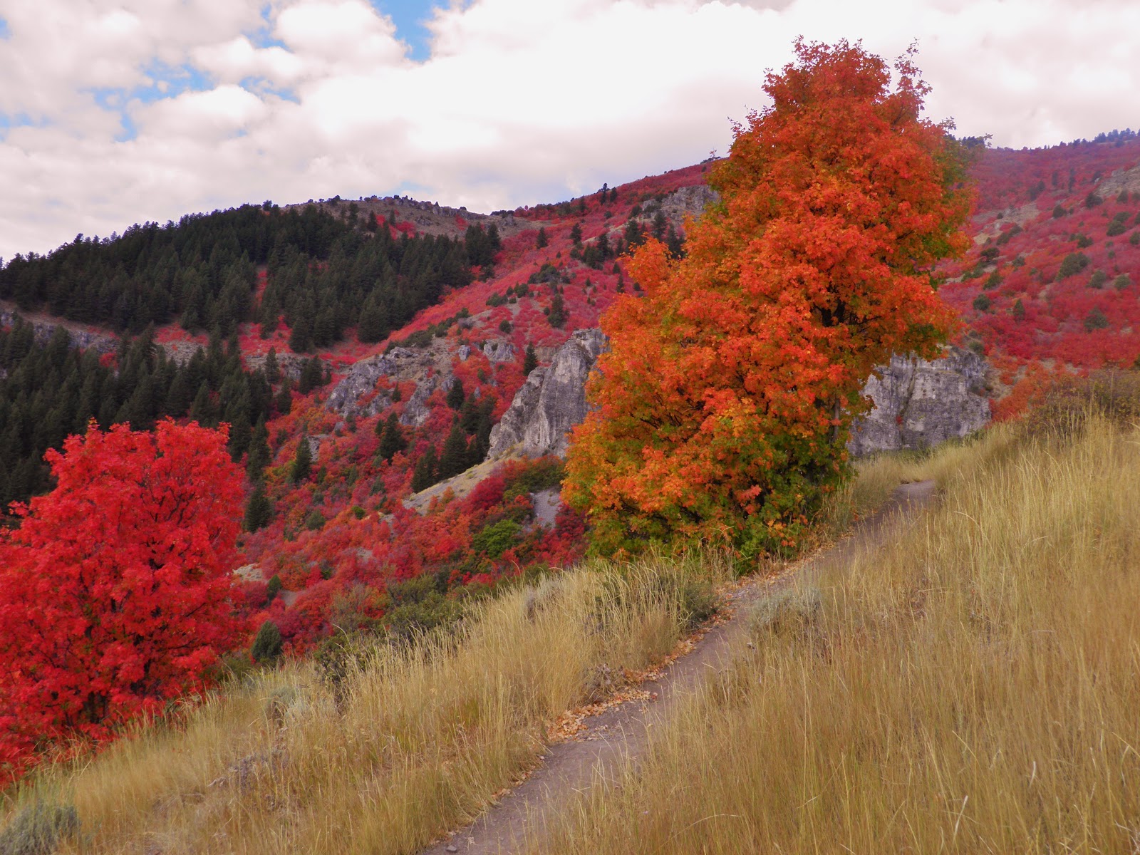 Bear Lake Eborns Sights of Autumn in Northern Utah