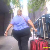 BBW & SSBBW Series Vol. 1! – Phatassvision
