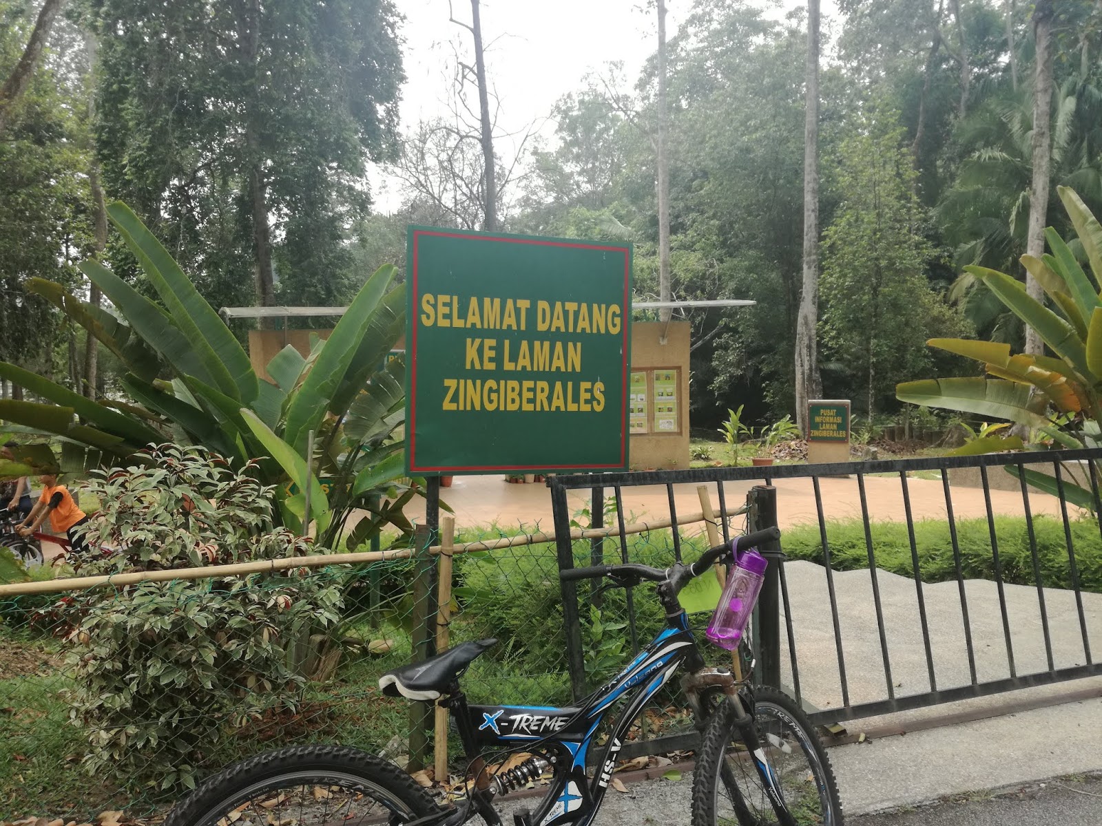 Farhana Jafri: Laman Zingiberales, Bukit Cerakah Shah Alam