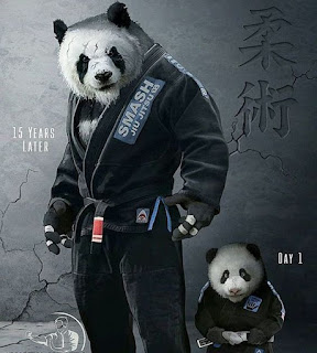 Gambar Panda Keren