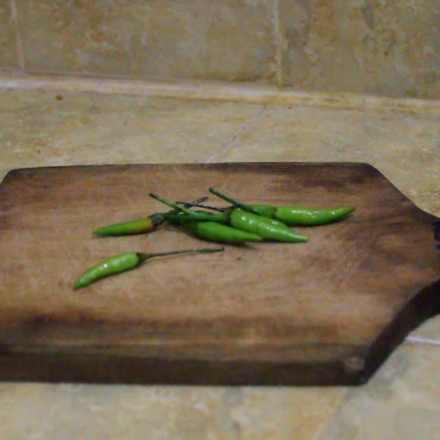 Buat Semprotan Cabai/Merica (Chili Pepper Spray)