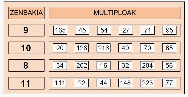 Resultado de imagen de MULTIPLOAK