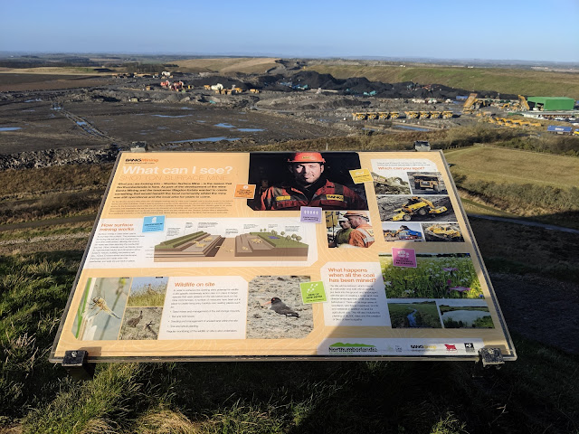 A Guide to Visiting Northumberlandia - shotton surface mine view and information
