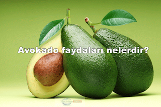 Avokado nasıl yenir faydaları nelerdir nerede satılır