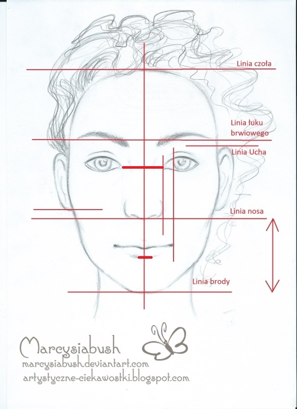 Artystyczne Ciekawostki Marcysibush: Proporcje twarzy w "En Face"