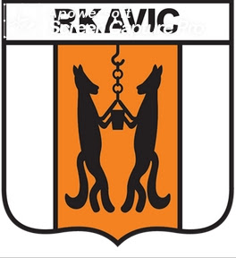 Logo van RKAVIC