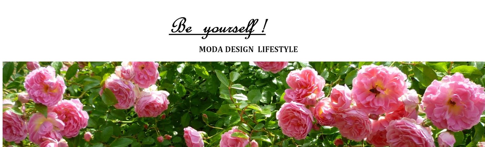 MODA      DESIGN      LIFESTYLE