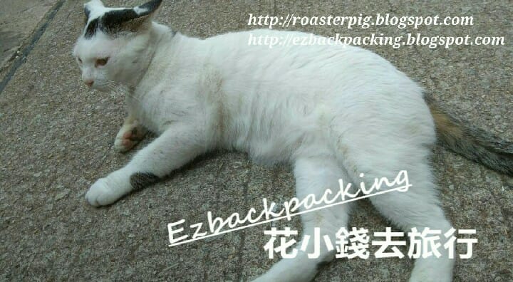 三門仔的貓 三門仔的喵星人