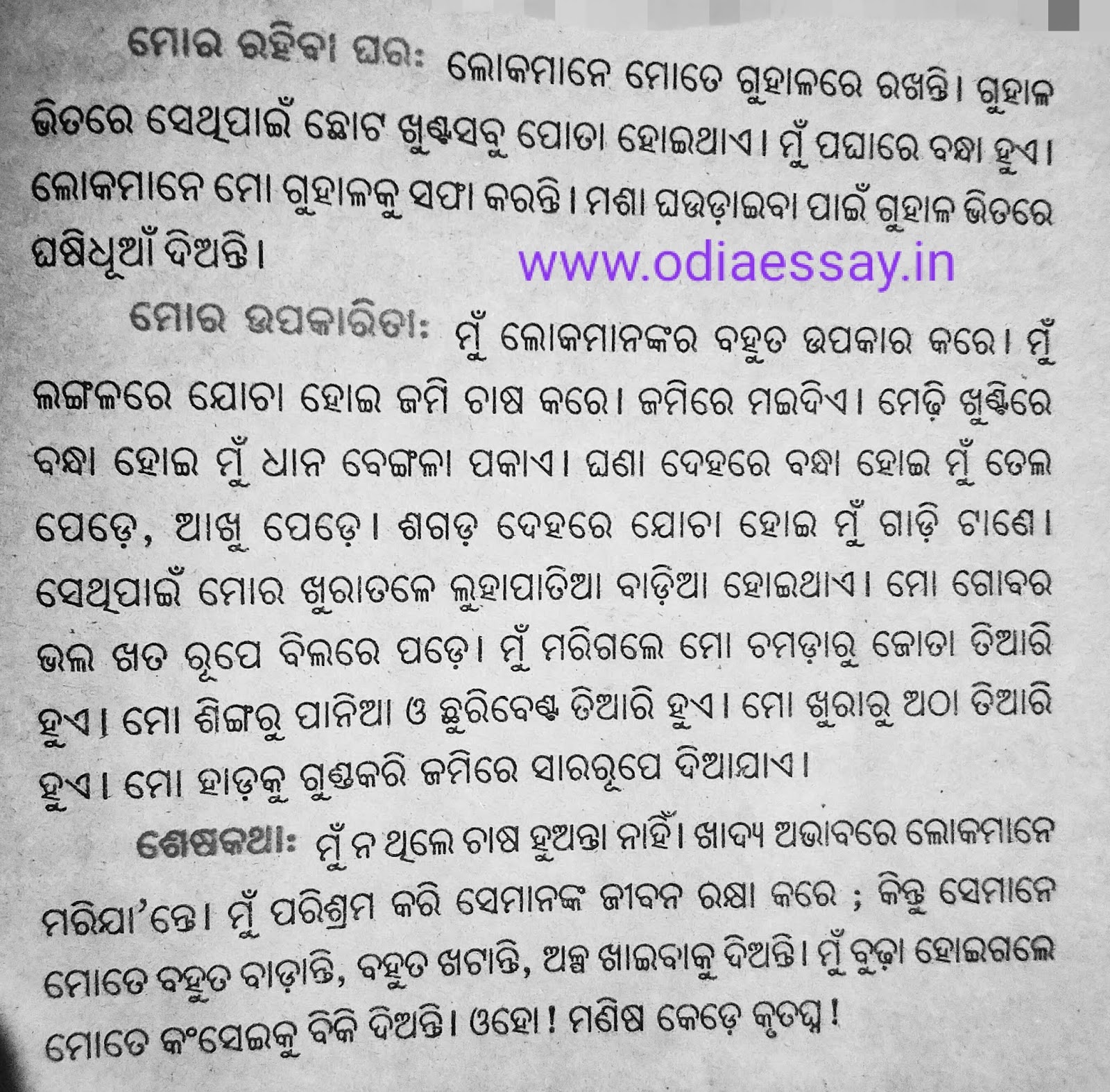 Paragraph on allama iqbal image