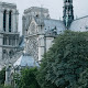 ▷ Catedral de Notre Dame | Historia y Arquitectura 🥇