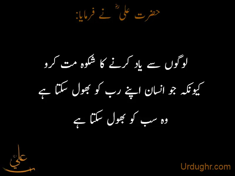 Best Hazrat Ali R A Quotes In Urdu With Images Urdughr