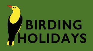 WEB BIRDING HOLIDAYS