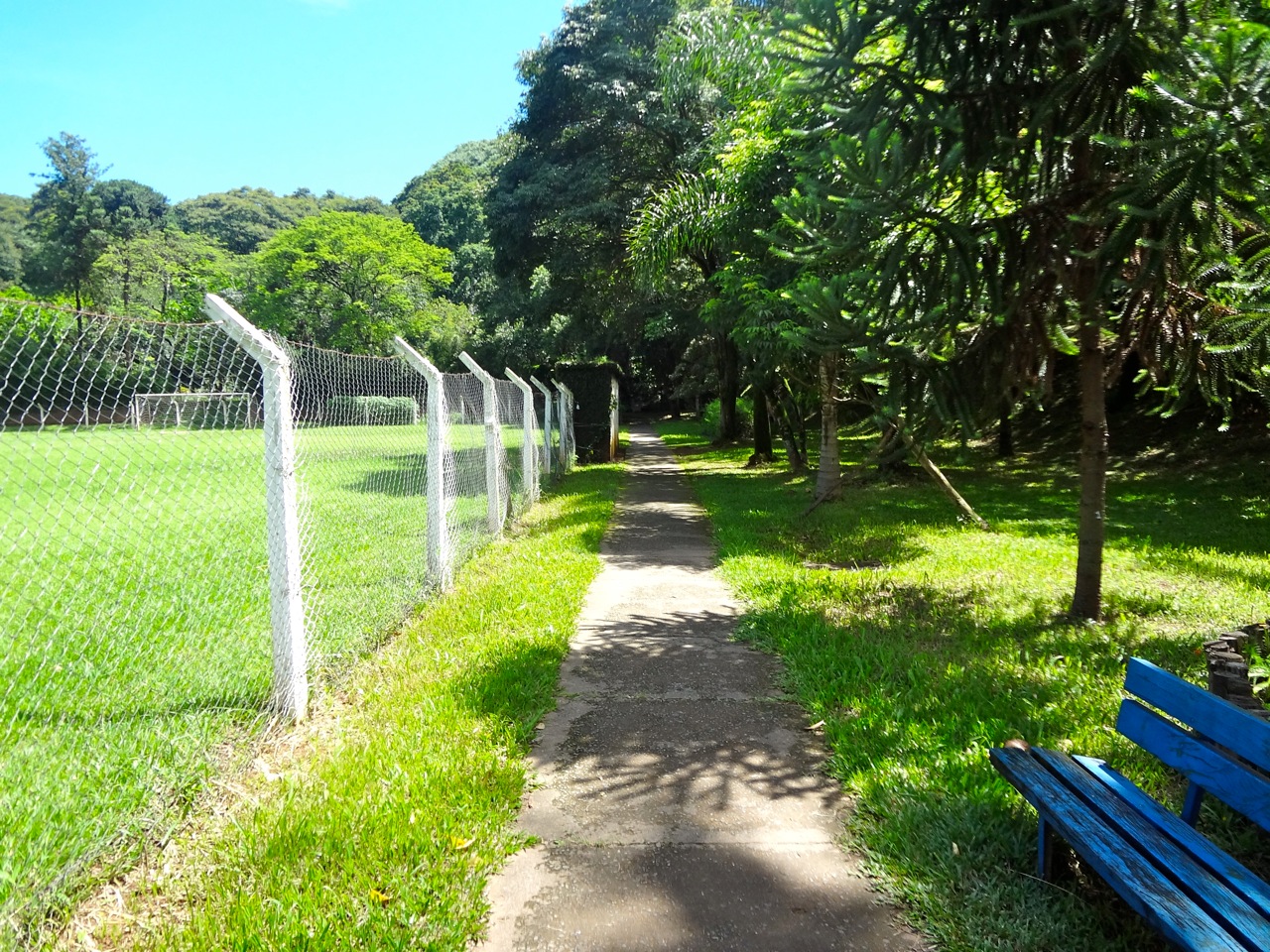 Parque São Domingos em São Paulo Áreas Verdes das Cidades Guia de Parques Parque São Domingos em São Paulo Áreas Verdes das Cidades Guia de Parques