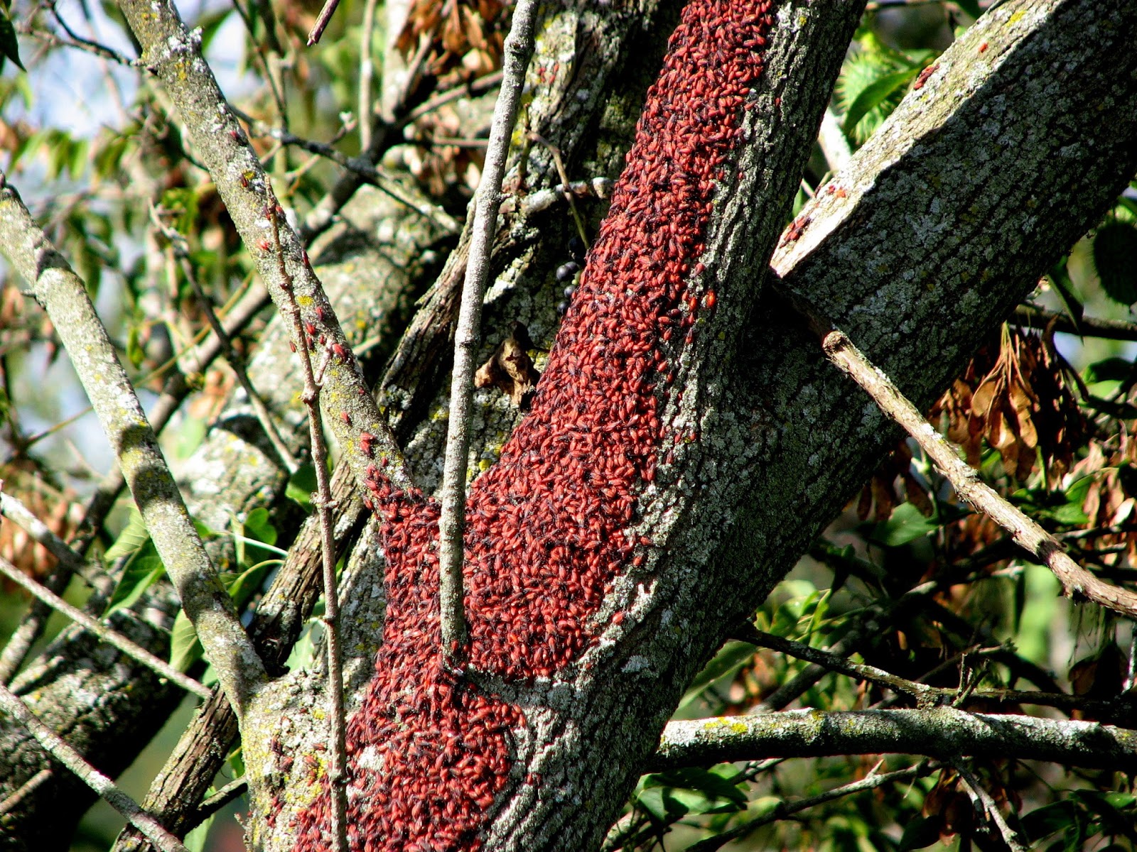 Posted by threecollie at 656 AM