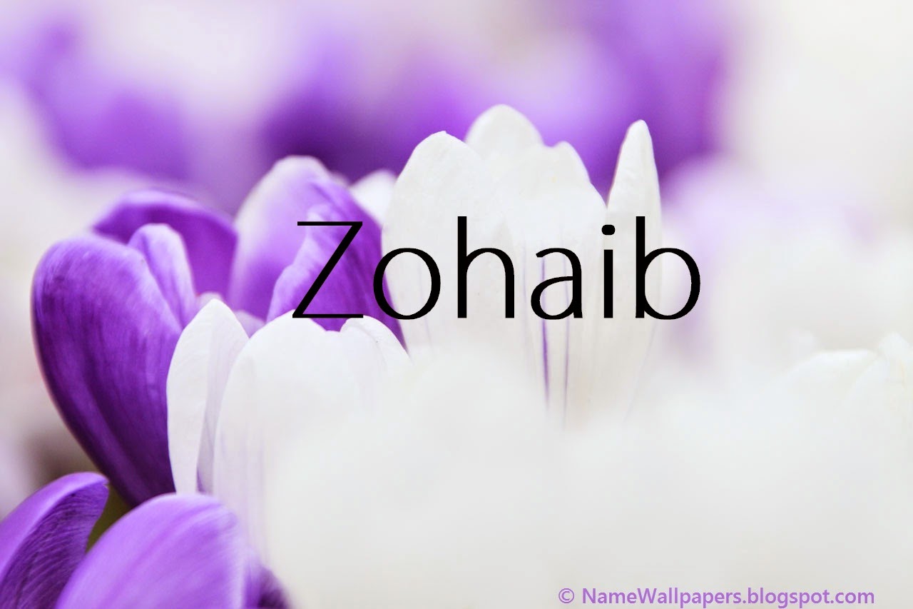 Zohaib Name Wallpapers Zohaib Name Wallpaper Urdu Name Meaning Name