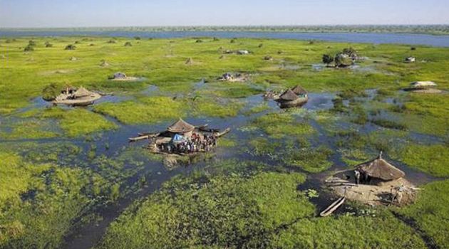 Pengertian Rawa dan Macam-macam Jenis Rawa