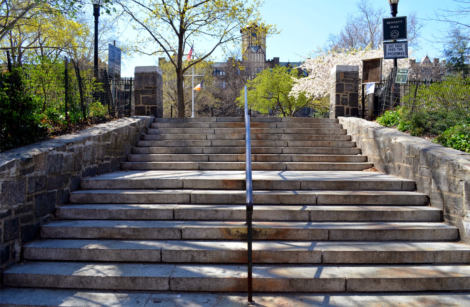This Hidden City Park