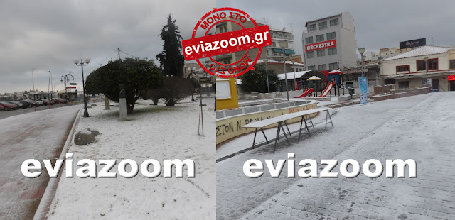 Ξημέρωσε «άσπρη μέρα» στη Χαλκίδα - Χιόνι παντού! (ΦΩΤΟ & ΒΙΝΤΕΟ)