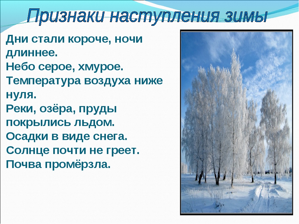 Летом дни становятся длиннее. Сезонные изменения в природе зима. Сообщение о зиме. Призентац я на НМУ щима. Сезонные изменения в природе зимой.