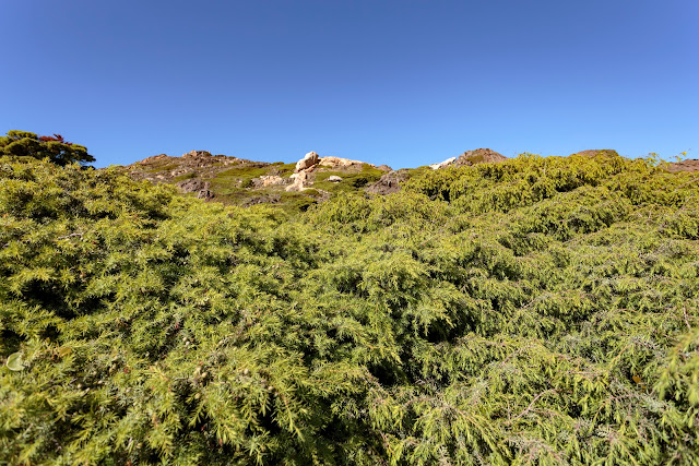 Природный парк Cap de Creus