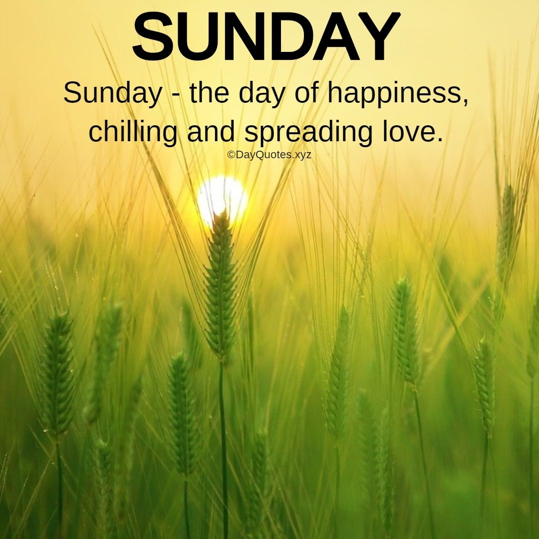 Best Sunday Quotes To Feel The Happiness Best Sunday Quotes To Feel The Happiness