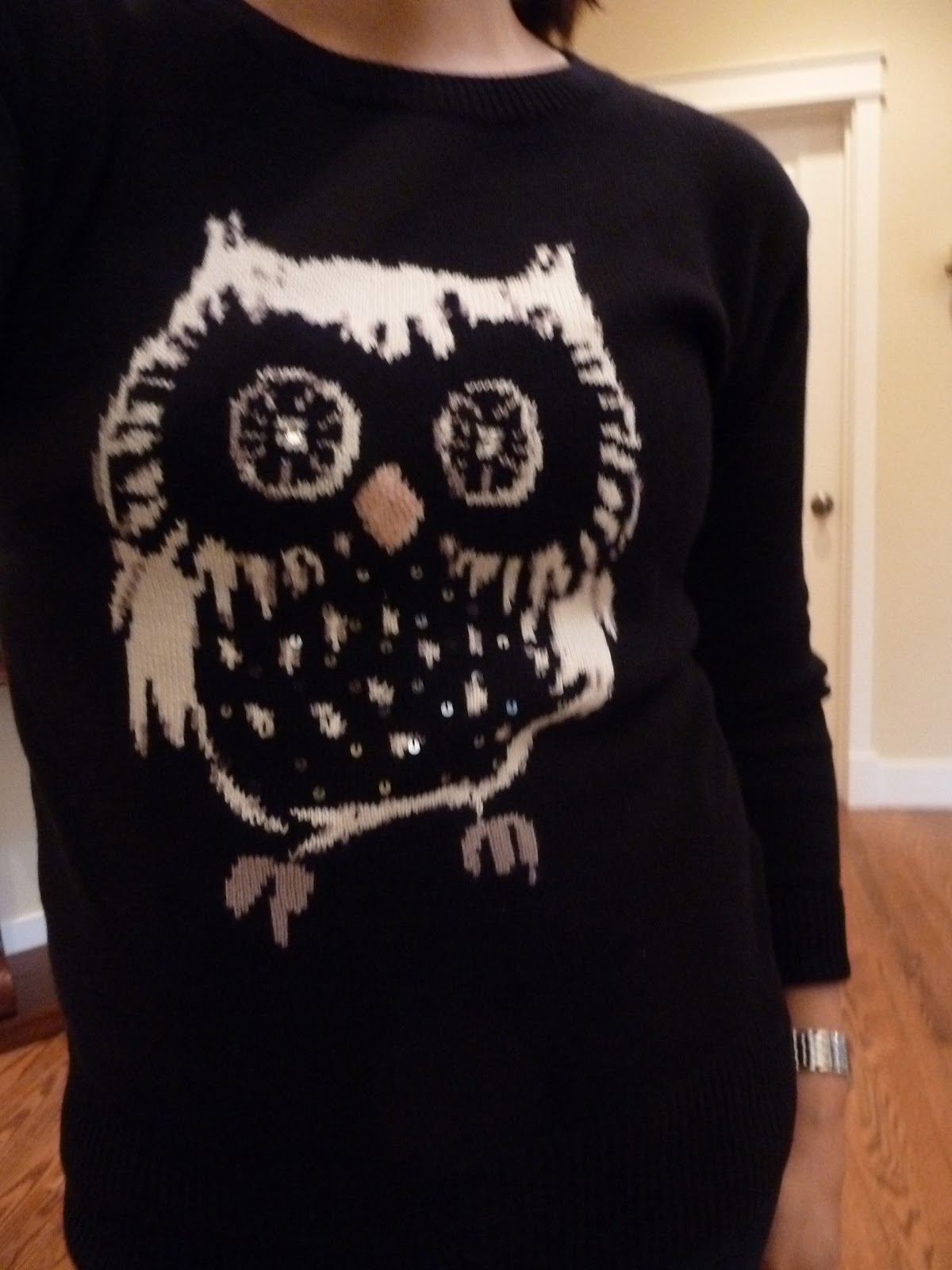 Sparrows & Sparkle Owl Sweater