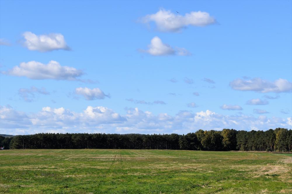 Farms for Sale in Perfect Location in Sweden Estates