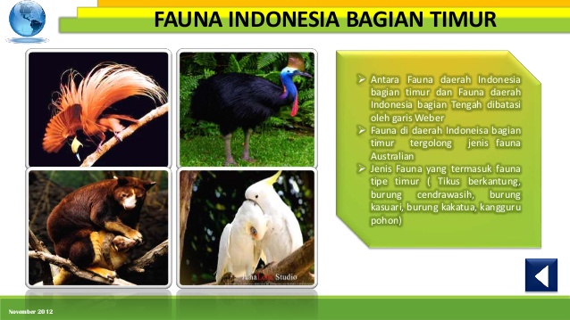 20+ Fauna Wilayah Indonesia Bagian Barat Termasuk Fauna Tipe