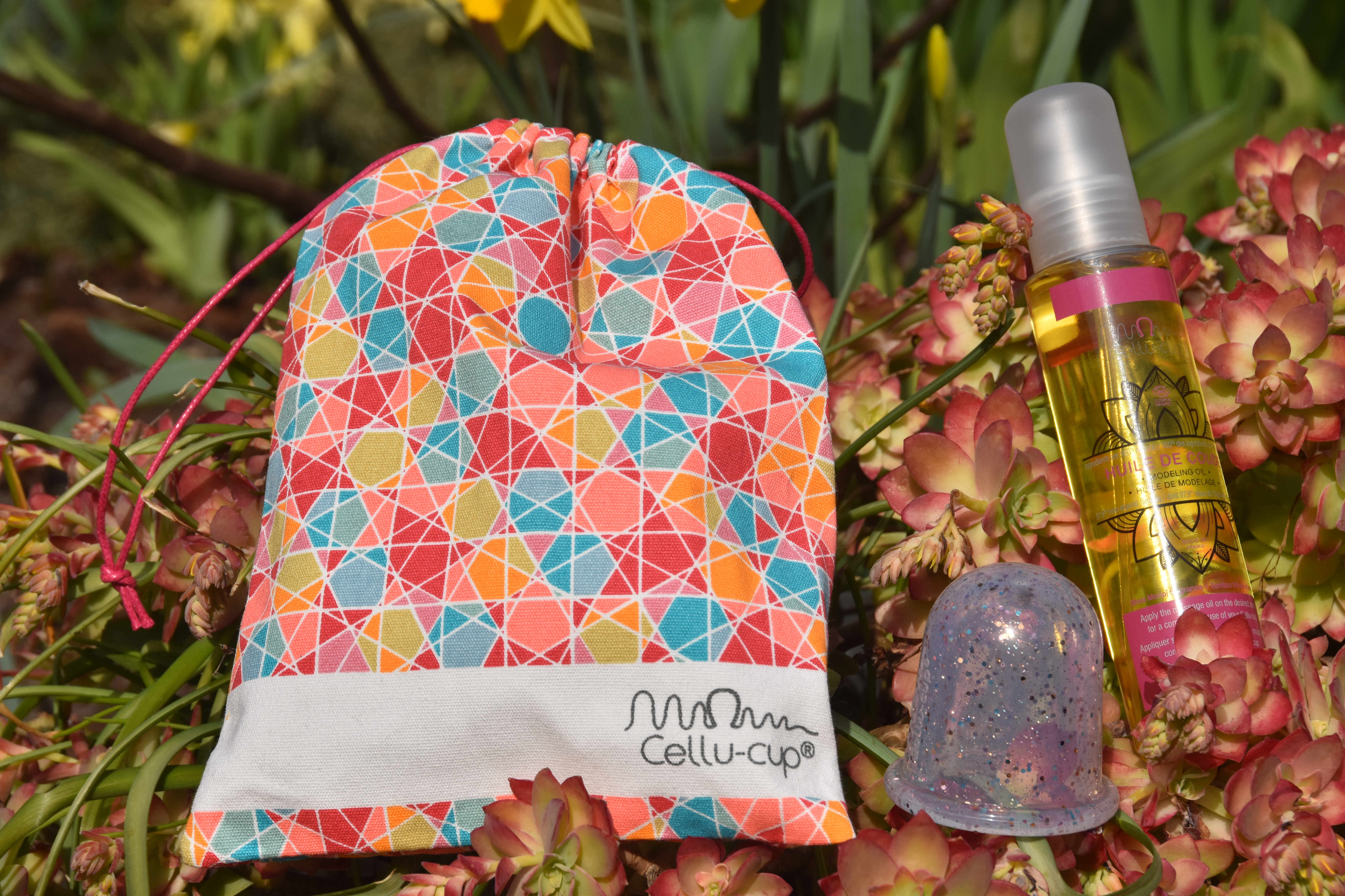 L’attribut alt de cette image est vide, son nom de fichier est DSC_0015.JPG.