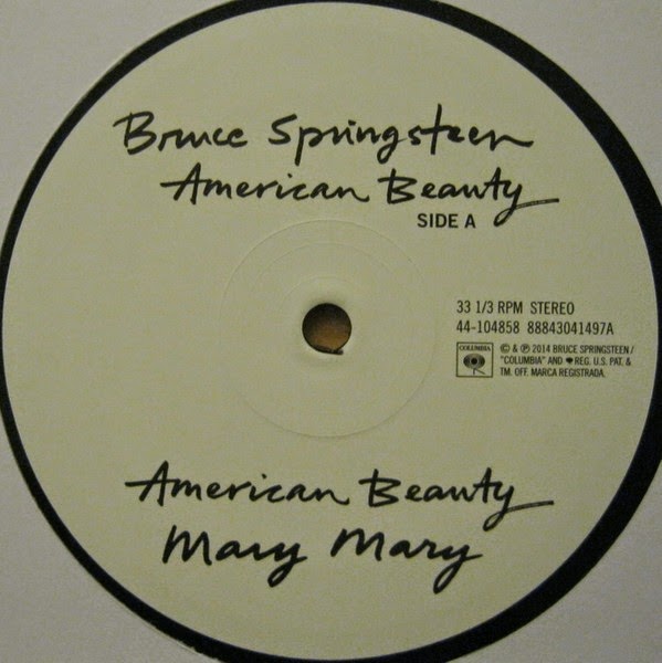 American Beauty Bruce Springsteen jpg (599x600)