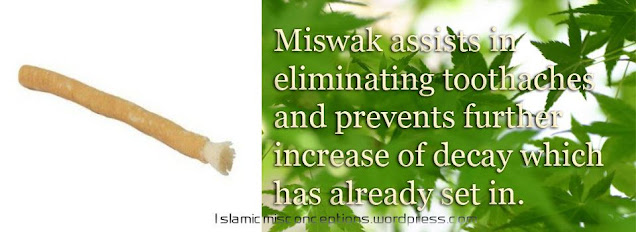 miswak Health Benefits, Uses & Cures in Holy Qur’an & Ahadith