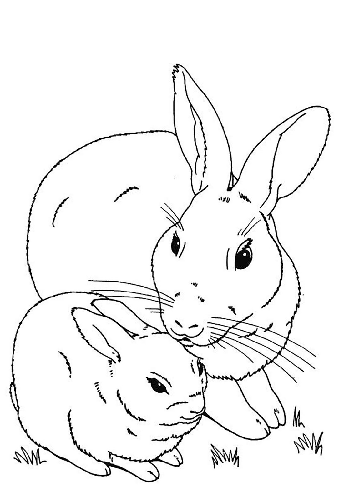 Tranh tô màu hai mẹ con thỏ