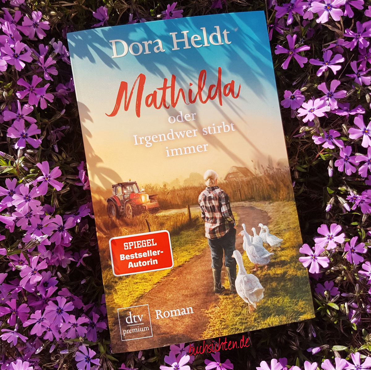 Gedichte Und Zitate Fur Alle Johann Wolfgang Goethe Romane