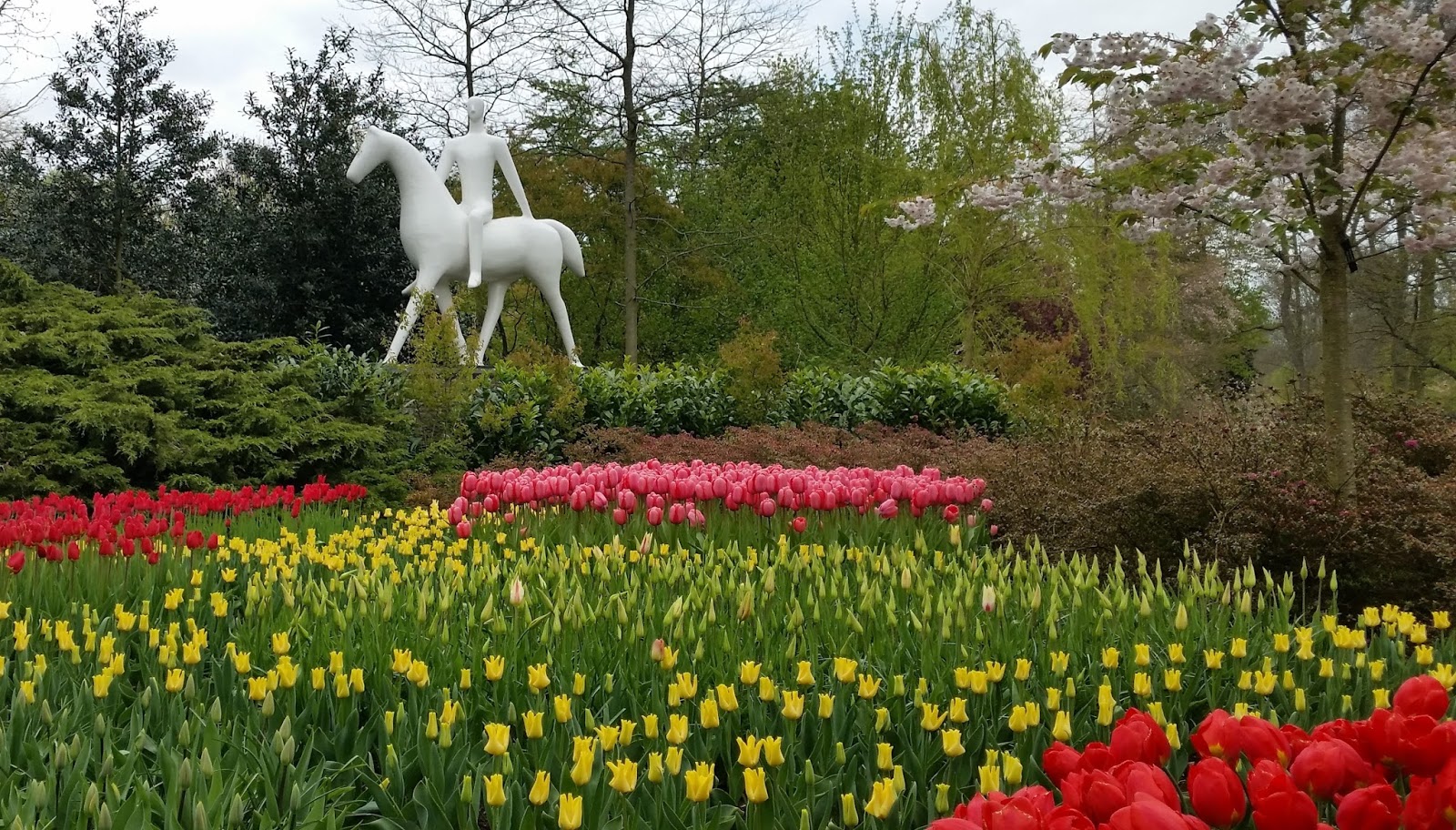 JollyDays Supported Holidays Dutch Bulb Fields & Amsterdam with Derek