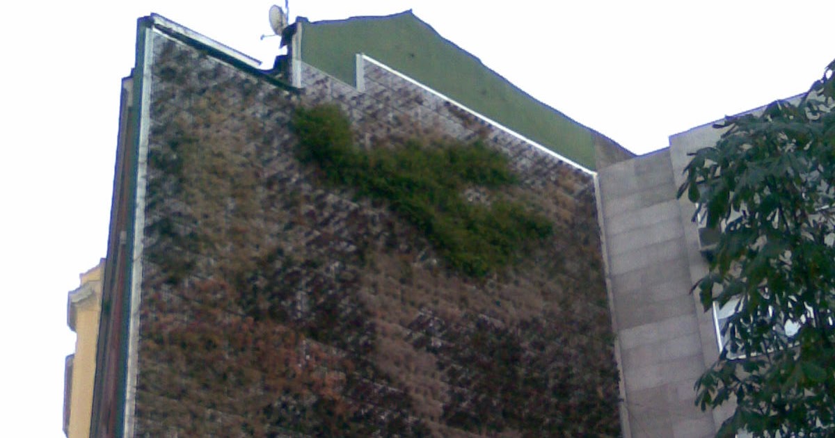 La naturaleza en casa: Fachada vegetal plaza de la Luna de Madrid