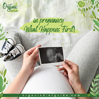 Having a Baby | What Happens During the Trimesters of Pregnancy?!