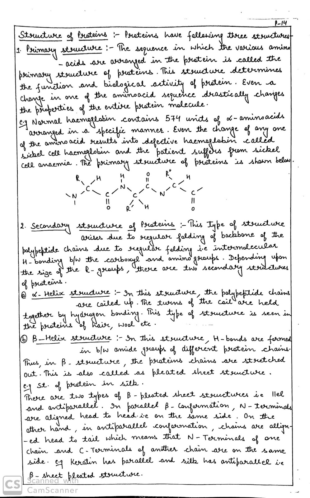 Biomolecules handwriten notes for class 12th chemistry
