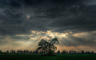 Moonsoon nature hq wallpaper Moonsoon nature hq wallpaper