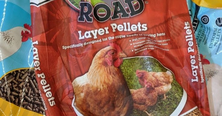 50 kg Poultry Feed Polypropylene Bags