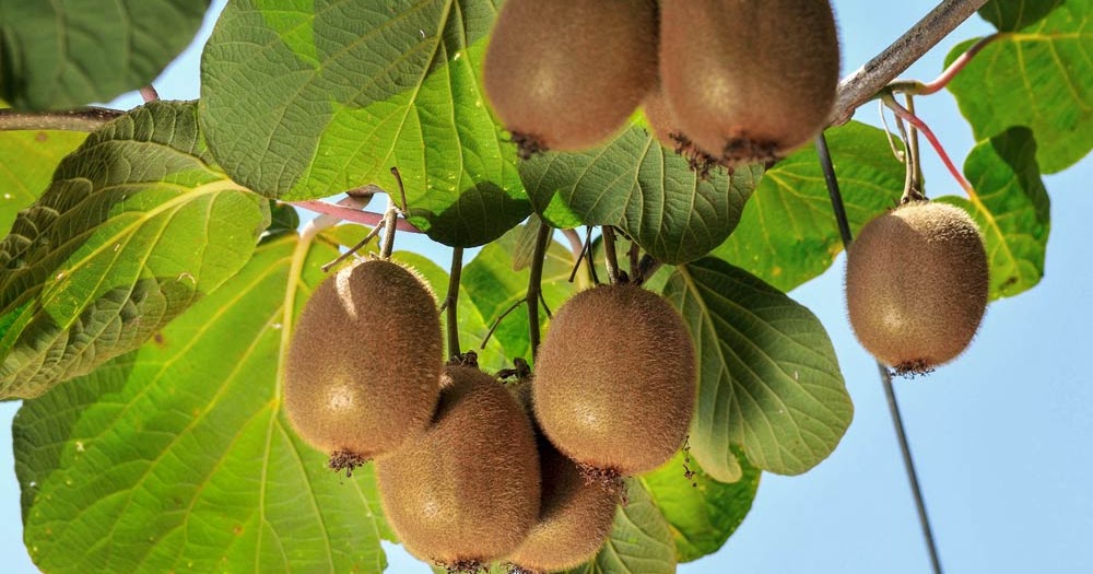 Kolumbien Fur Einsteiger