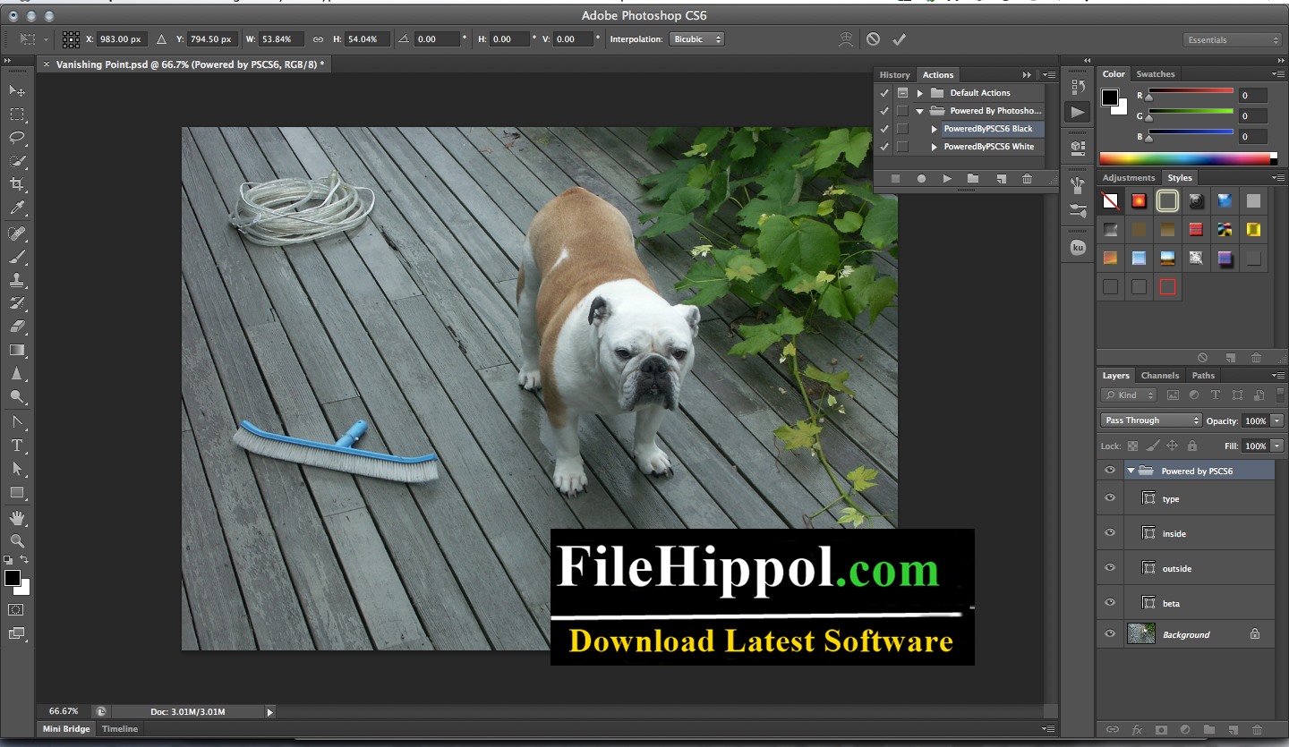 Adobe Free Download Full Version Filehippo