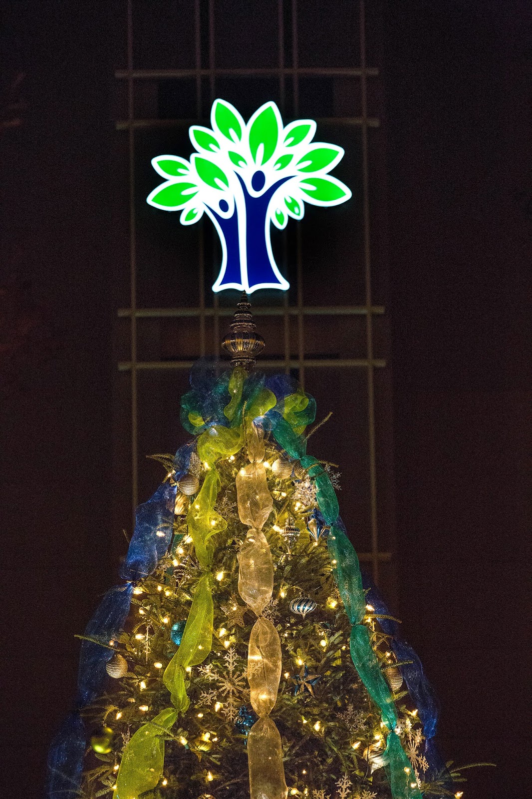 Med School Watercooler USA Hospitals Host Tree Lighting Ceremonies
