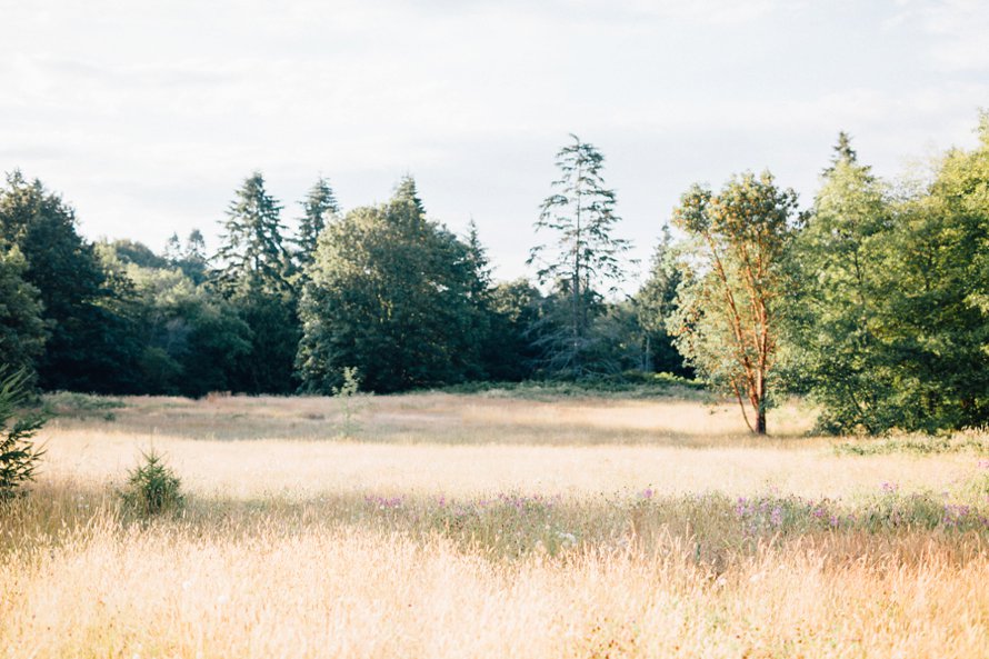 Dreamy Discovery Park Seattle Engagement Photography by Something Minted