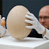 Γιγαντιο απολιθωμενο αυγο ηλικιας 400 ετων!
