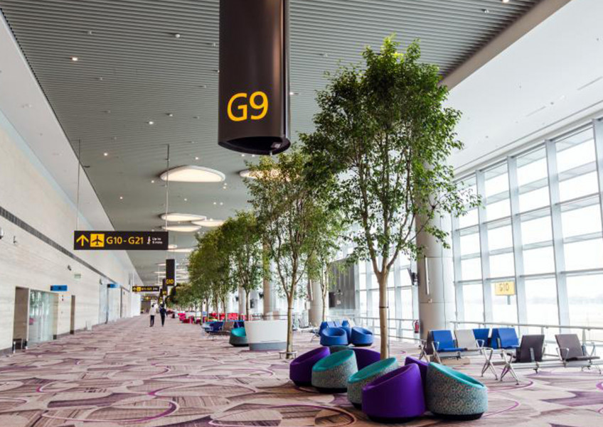 Under The Angsana Tree World's Best Airport 2020