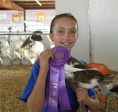 2011 Pope County Fair Poultry Show