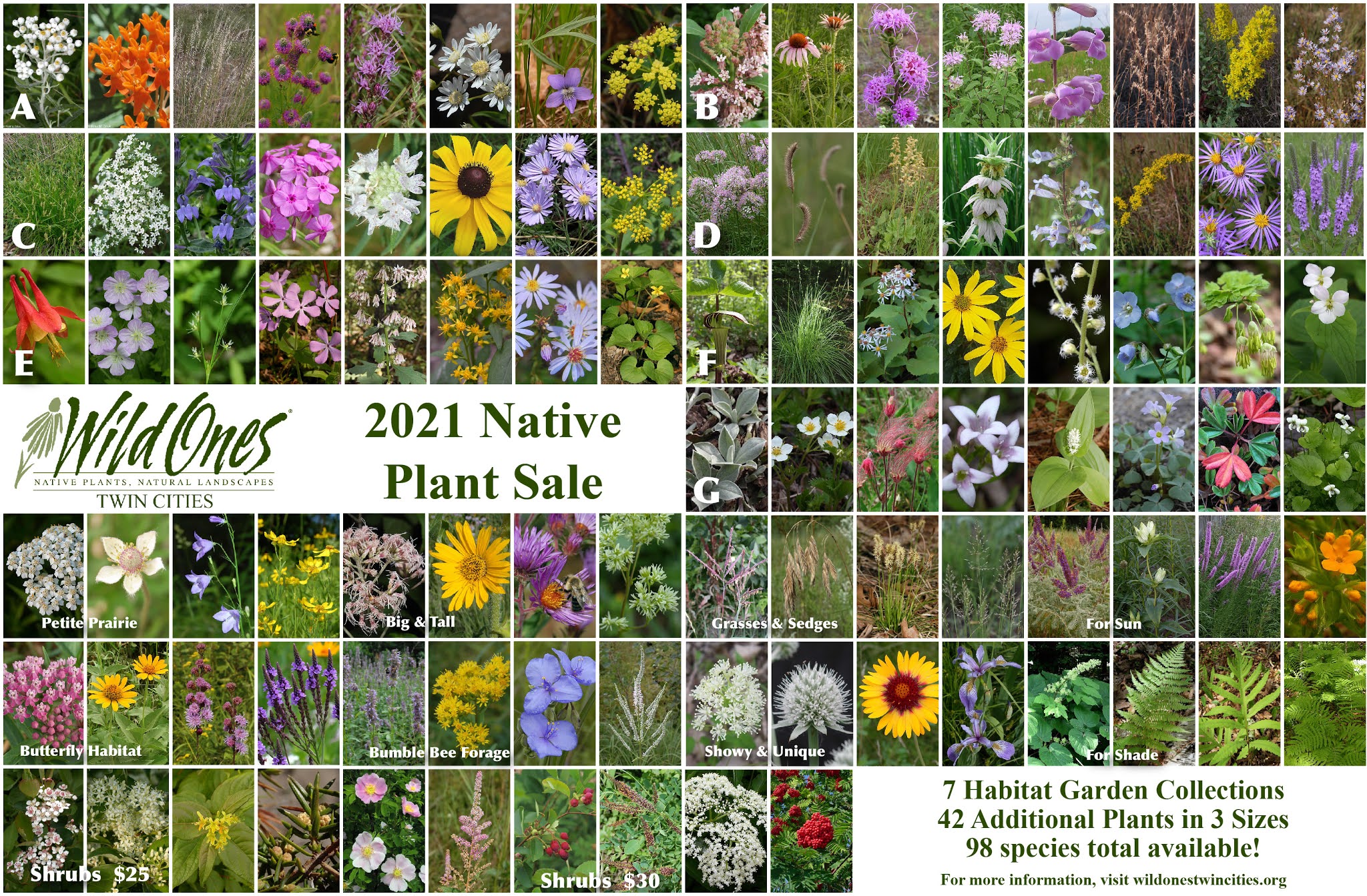 Wild Ones Twin Cities Minnesota Online Program May 18th and Annual